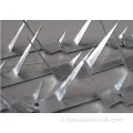 Spike a parete in acciaio galvanizzato/uccello anti-climb